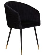 черный велюр (1922-21)