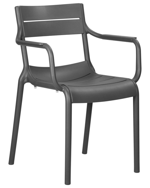 Стул обеденный DOBRIN TIM ARM