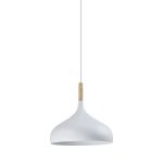 Светильник подвесной Moderli V11439-1P Eline