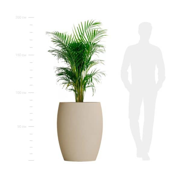 Кашпо OVAL SAHARA — изображение 2