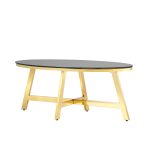 Журнальный стол 100*50 АЛЬБА золото стекло черное