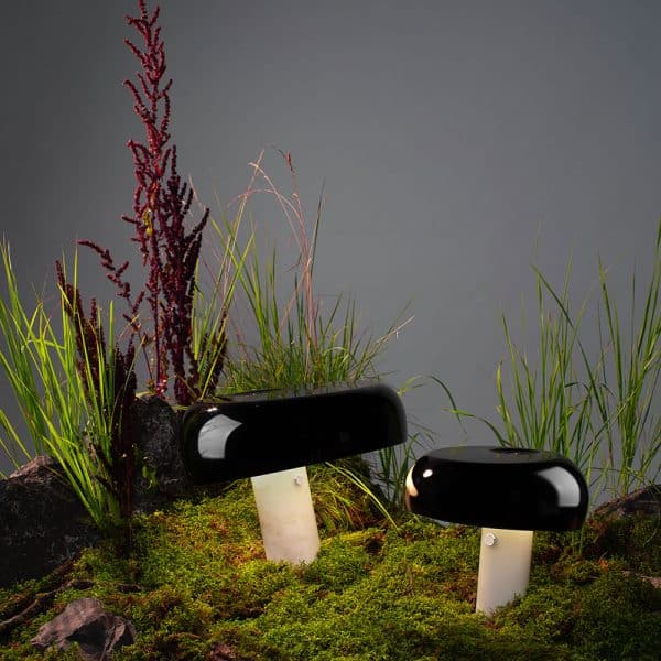 Декоративная настольная лампа Divinare DENTON 1083/06 TL-1 — изображение 2