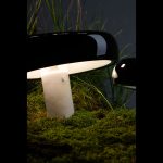 Декоративная настольная лампа Divinare DENTON 1083/06 TL-2 — изображение 2