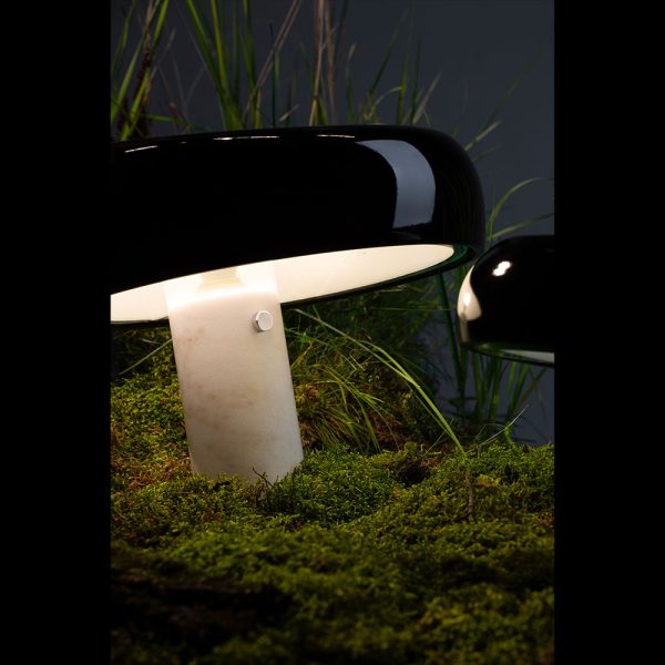 Декоративная настольная лампа Divinare DENTON 1083/06 TL-2 — изображение 2