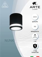 Фасадный светильник Arte Lamp NUNKI A1910PF-1BK — изображение 3