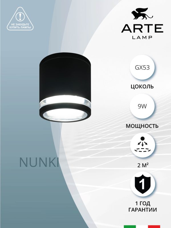 Фасадный светильник Arte Lamp NUNKI A1910PF-1BK — изображение 3