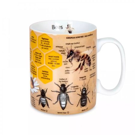 Koenitz Кружка "Серия знаний-Пчелы"