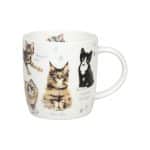 Кружка "Разнообразие природы" - Котята