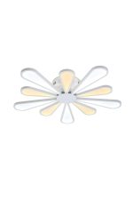 Lucia Tucci Miracoli 202.10 LED