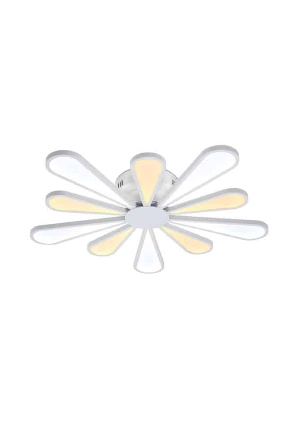 Lucia Tucci Miracoli 202.10 LED