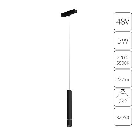 Магнитный трековый светильник Arte Lamp RAPID SMART A2959PL-1BK
