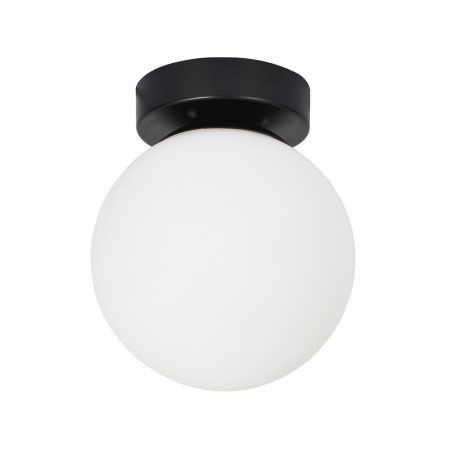 Настенно-потолочный светильник Arte Lamp ALCOR A2224PL-1BK