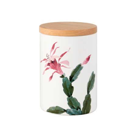 Nuova Cer Емкость с крышкой Cactus 17см