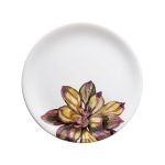 Nuova Cer Тарелка обеденная 2 штуки Cactus 27см