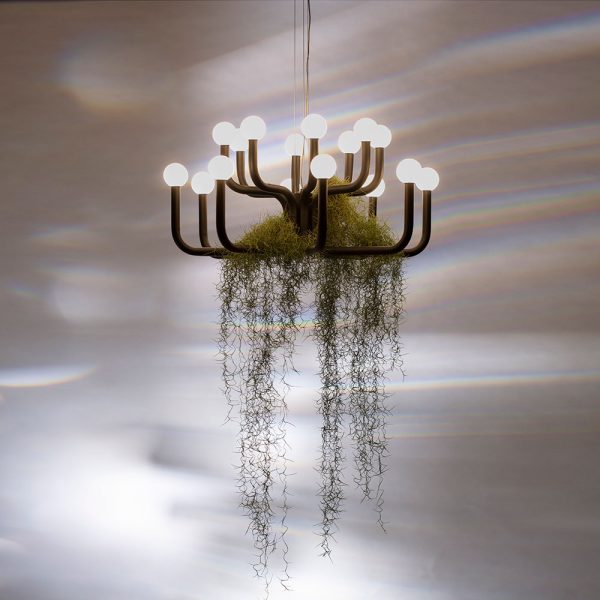 Подвесная люстра Divinare FLORIANA 8194/06 LM-94 — изображение 2