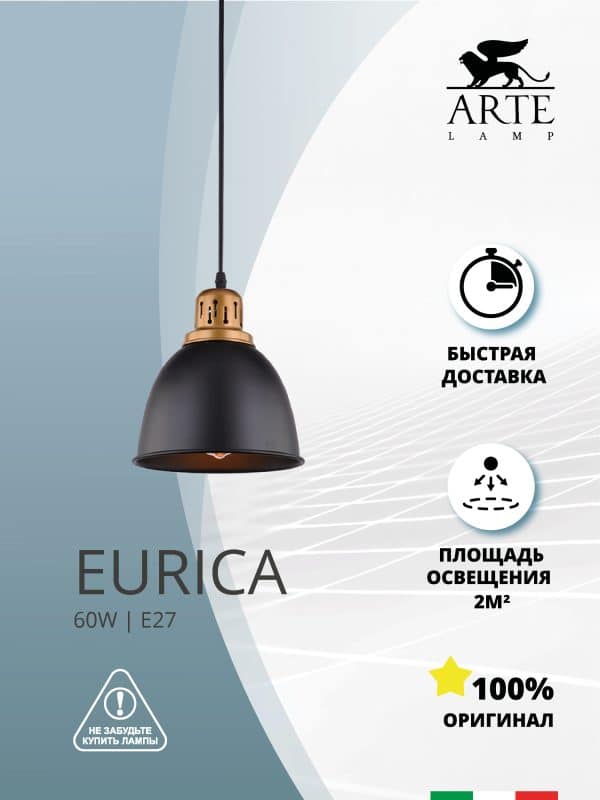 Подвесной светильник Arte Lamp EURICA A4245SP-1BK — изображение 4