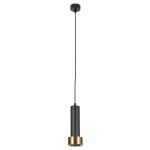 Подвесной светильник Arte Lamp RAN A3147SP-1BK
