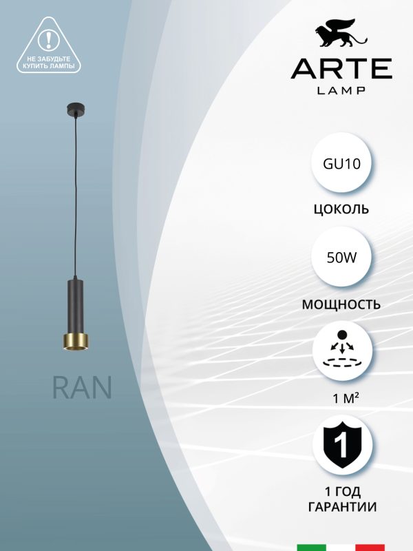 Подвесной светильник Arte Lamp RAN A3147SP-1BK — изображение 3