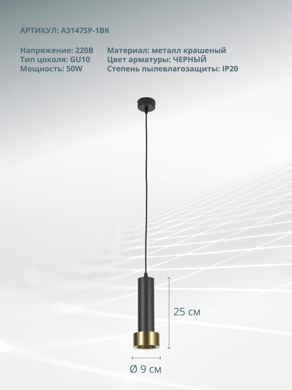 Подвесной светильник Arte Lamp RAN A3147SP-1BK — изображение 4