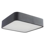 Потолочный светильник Arte Lamp COSMOPOLITAN A7210PL-2BK