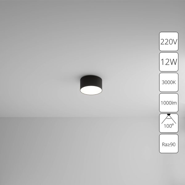 Потолочный светильник Arte Lamp FADO A7312PL-1BK Потолочный светильник Arte Lamp FADO A7312PL-1BK