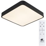 Потолочный светильник Arte Lamp SCENA A2663PL-1BK — изображение 2