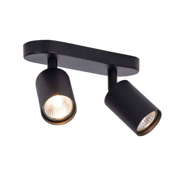 Спот Arte Lamp AQUARIUS A3226PL-2BK — изображение 2