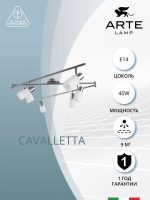 Спот Arte Lamp CAVALLETTA A4510PL-6SS — изображение 5