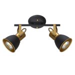 Спот Arte Lamp JOVI A1677PL-2GO
