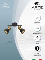 Спот Arte Lamp JOVI A1677PL-2GO — изображение 3