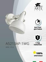 Спот Arte Lamp MARTIN A5213AP-1WG — изображение 5
