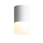 ST100.502.10 Светильник потолочный Белый LED 1*10W 3000K 780Lm Ra>80 120° D78xH135 170-240V Накладные светильники — изображение 3