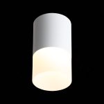 ST100.502.10 Светильник потолочный Белый LED 1*10W 3000K 780Lm Ra>80 120° D78xH135 170-240V Накладные светильники — изображение 4