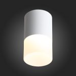 ST100.502.10 Светильник потолочный Белый LED 1*10W 3000K 780Lm Ra>80 120° D78xH135 170-240V Накладные светильники — изображение 5