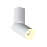 ST107.502.10 Светильник потолочный Белый LED 1*10W 3000K 780Lm Ra>80 D50xH168 170-240V Накладные светильники — изображение 3
