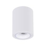 Точечный накладной светильник Arte Lamp IMAI A2267PL-1WH