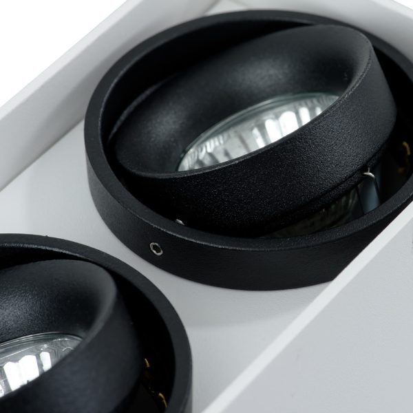 Точечный накладной светильник Arte Lamp PICTOR A5655PL-2WH — изображение 3