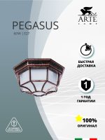 Уличный потолочный светильник Arte Lamp PEGASUS A3100PL-1AC — изображение 4