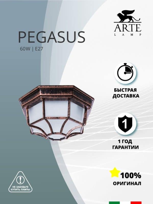 Уличный потолочный светильник Arte Lamp PEGASUS A3100PL-1AC — изображение 4