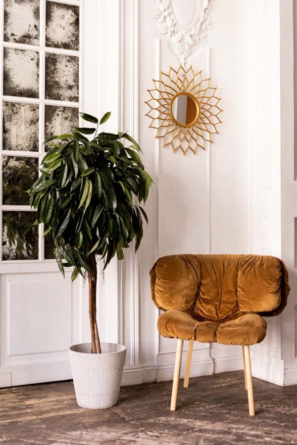 Зеркало Mast Gold — изображение 2