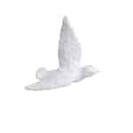 Декор настенный птичка  To4rooms