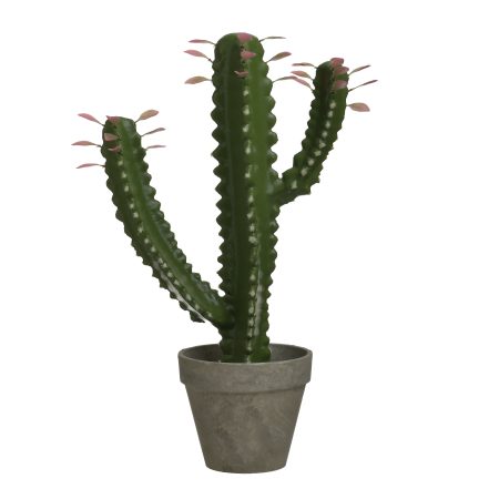 Искусственный цветок в кашпо - кактус  To4rooms