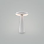 Аккумуляторный светильник Freya FR6109TL-L4W — изображение 5