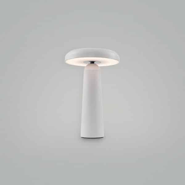 Аккумуляторный светильник Freya FR6109TL-L4W — изображение 5