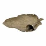 Блюдо  To4rooms