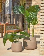 Искусственное растение Alocasia пахучая с черным горшком 57 см — изображение 3