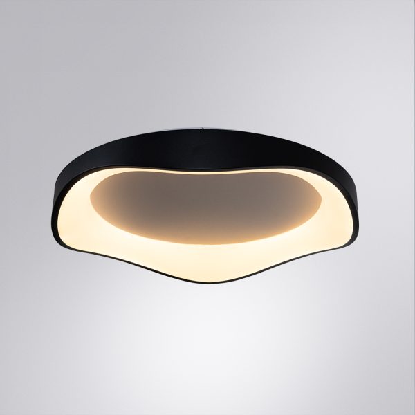 Потолочный светильник Arte Lamp ANKAA A3085PL-56BK — изображение 2