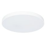 Потолочный светильник Arte Lamp ARENA A2671PL-1WH