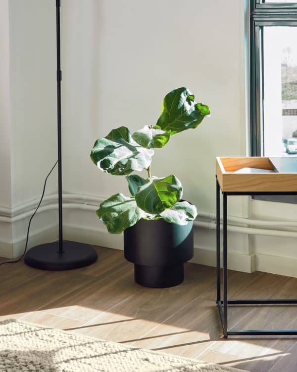 Кашпо для цветов Mash из черного металла Ø 28 см — изображение 2