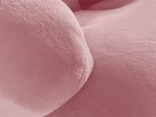 Кресло Flemming Wood розовый — изображение 4